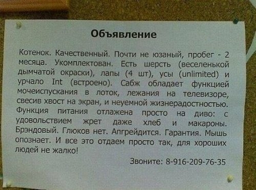 Объявление Котенок Качественный Понти не юзаный пробег 2 месяца укомплектован Есть шерсть веселенькой дымчатой окраски папы 4 шт усы итітшеа и урчала пс 0 Сабж обладает функцией мочеиспускания в поток лежаиия на телевизоре свесив хвост на экран и неуемной жизнерадошосгью Функция питания отлажена просто на диво удовольствием жрет даже хлеб и макароны Брэндовый Глюкив нет Апгрейдитш Гарантия Мышь оп