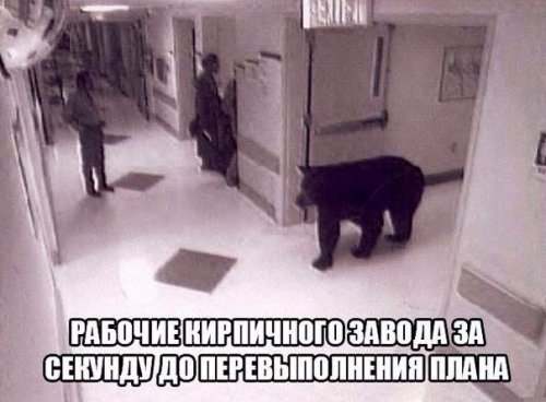 тзпвп