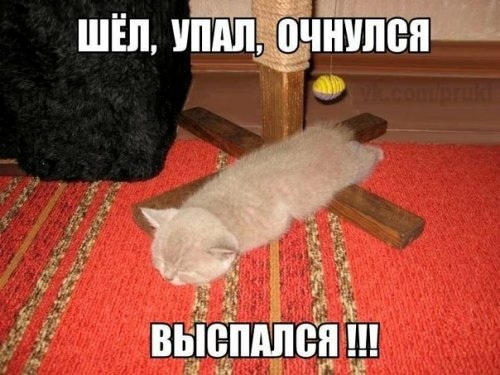 ШЁП УПАЛ0ЧШПШ