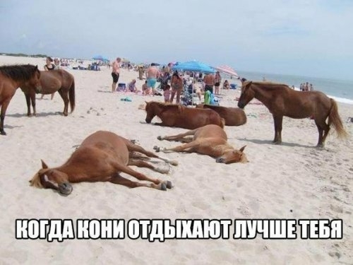 иё ПЩі