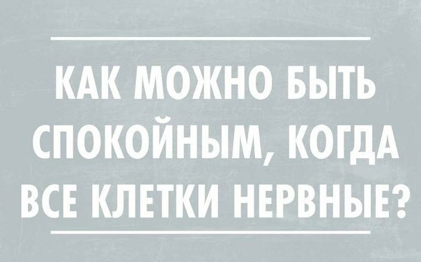 кдк можно выть спокойным когдА все клвтки ннгвнынг
