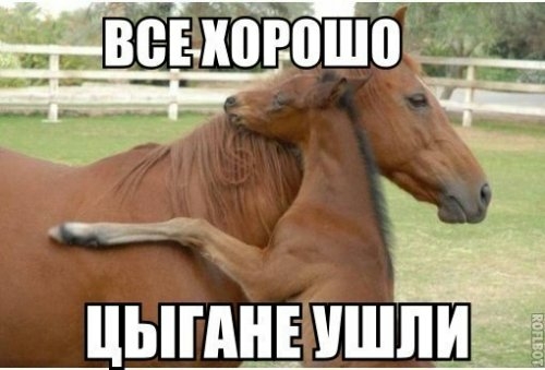ными УШЛИд ё