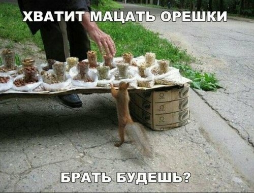 ЁЁУЩЁХШЬЁ