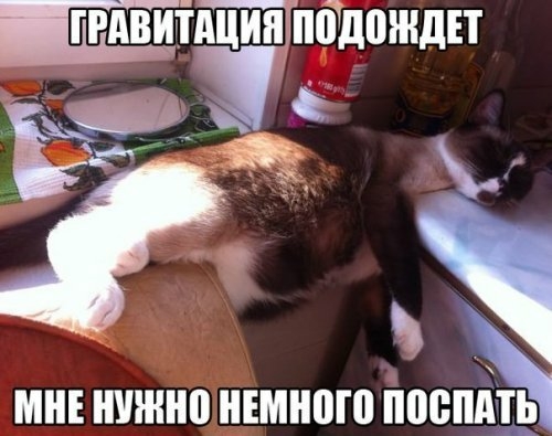 Дггдви_діАцин птдоиідіт і а МНЕ ШШШ ШШШ ППВПЁП