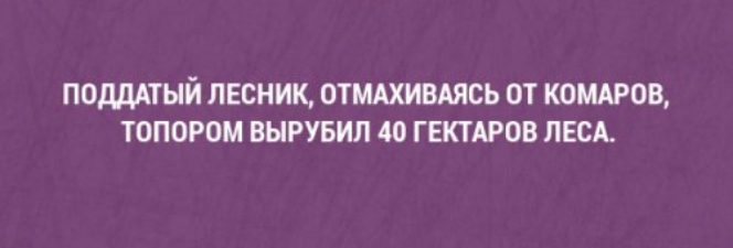 ПОДДДЫЙ ПЕСНИК ОТМАХИВАЯСЬ ОТ КОМАРОВ ТОПОРОМ ВЫРУБИЛ 40 ГЕКТАРОВ ЛЕСА