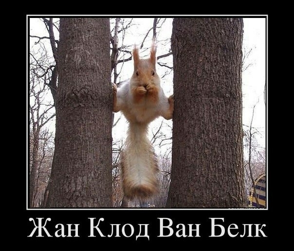 Жан Кйоіі ВанБелк