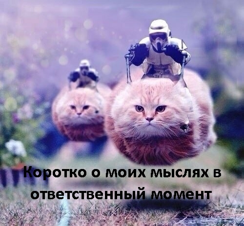 ОТКО О МОИХ МЫСЛЯХ В _ _ ОТВЕТСТВЕНН