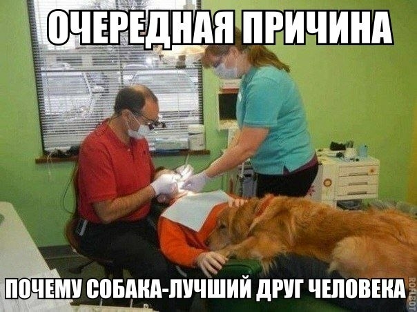 очеднйтгичинд ЧЕМУ еппдип пийіішй дРШ ЧПШВЕШд к