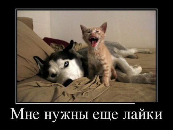 Мне нужны еще лайки