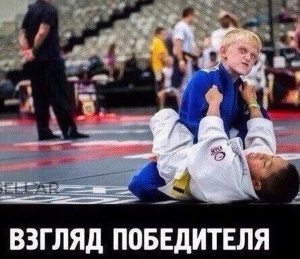 ВЗГЛЯД ПОБЕДИТЕЛЯ