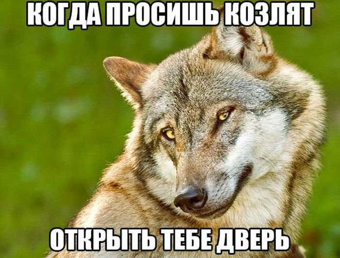 МДА ПРЩБИШ циозппт