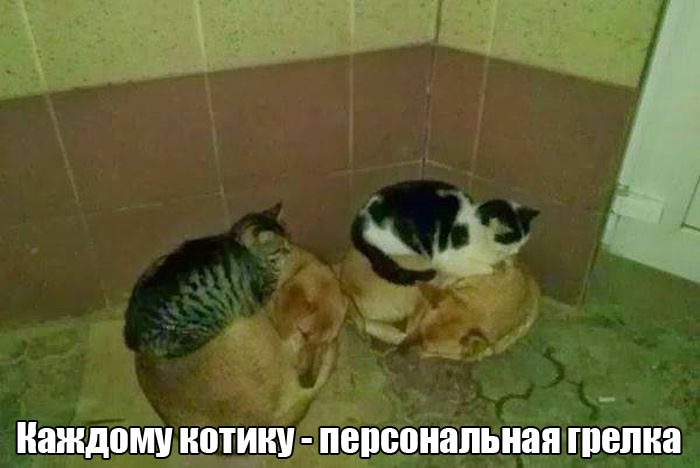 ъ каждому ОТИ пепсонапьная пюпиа