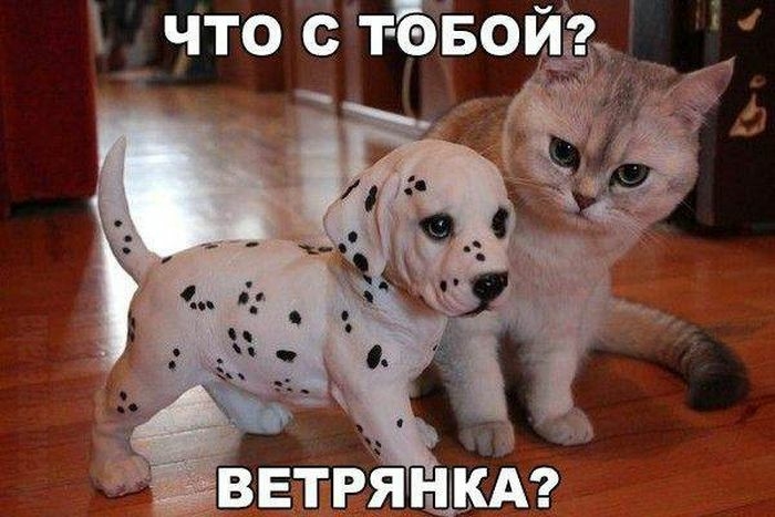 ч 9 И О __Б 0 Т что с