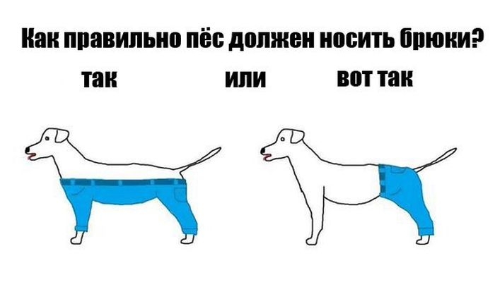 Паи ППВВИЛЫЮ ПЁБ должен носить ШШШ так или ШП так