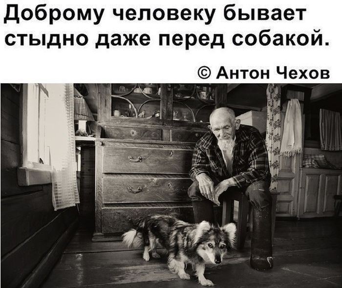 Доброму человеку бывает стыдно даже перед собакой Антон Чехов