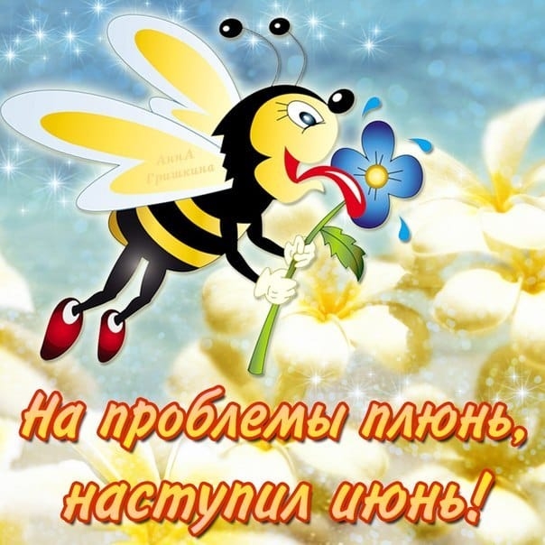 идеттм шоль