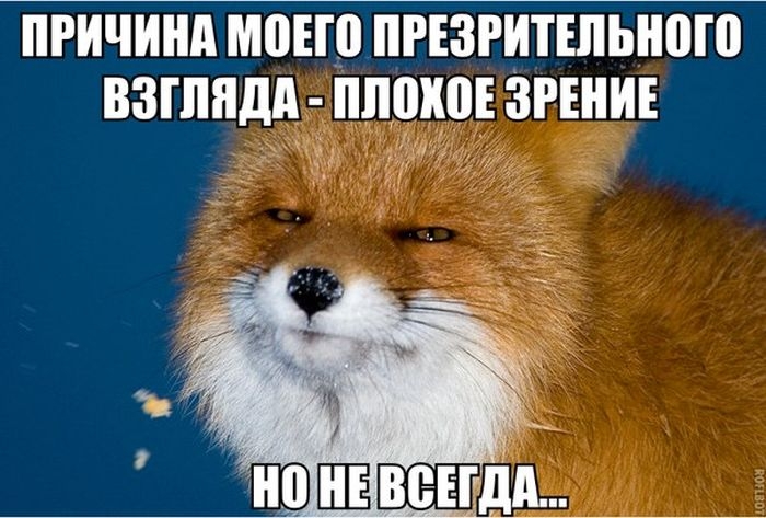 ПРИЧИНА ШЕП ПРЕЗРИТЕЛЬИПШ ВЗГЛИДИ ШШИПЕ ЗРЕНИЕ