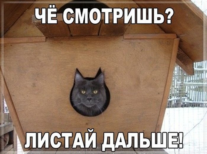 ЧЁ смотришьг щистдиддльш