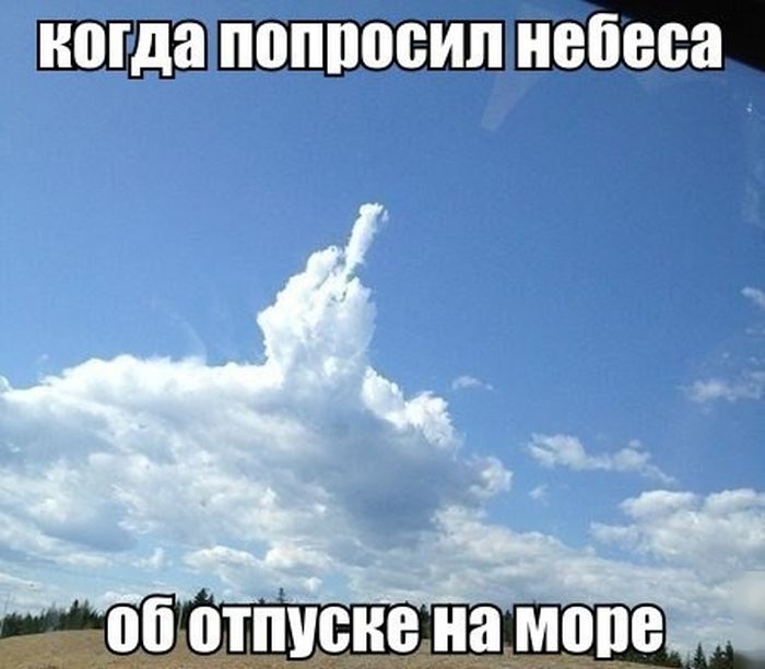 _ об отпуске на мопе