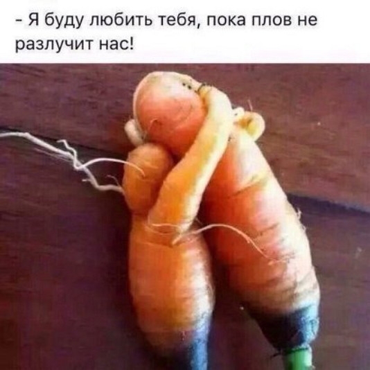 Я буду любить тебя пока плов не разлучит нас тв с