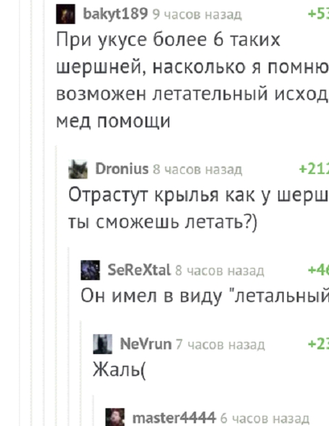 вакуг1 89 9 часов назад 5 При укусе более 6 таких шершней насколько я помню возможен летательный исход мед помощи м Огопи 8 часов назад 21 Отрастут крылья как у шерш ты сможешь летать В 5еКехна 8 часов назад 4 Он имел в виду летальный И Мегип 7 часов назад 2 Жаль Ш тазег4444