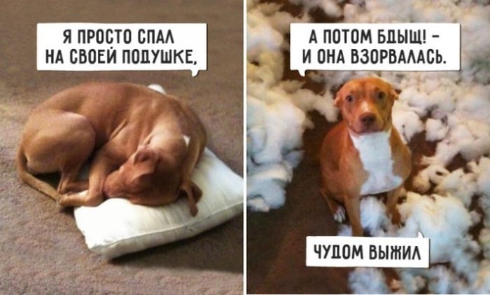 А потом впыъш и пнд взорвшсь Я ПРОЦТП СПА НА СВОЕМ ПОПУШКЕ