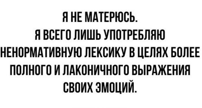 Я НЕ МАТЕРЮОЬ Я ВОЕГО ЛИШЬ УПОТРЕБЛЯЮ НЕНОРМАТИВНУЮ ЛЕКОИКУ В ЦЕЛЯХ БОЛЕЕ ПОЛНОГО И ЛАКОНИЧНОГО ВЫРАЖЕНИЯ СВОИХ ЭМОЦИИ