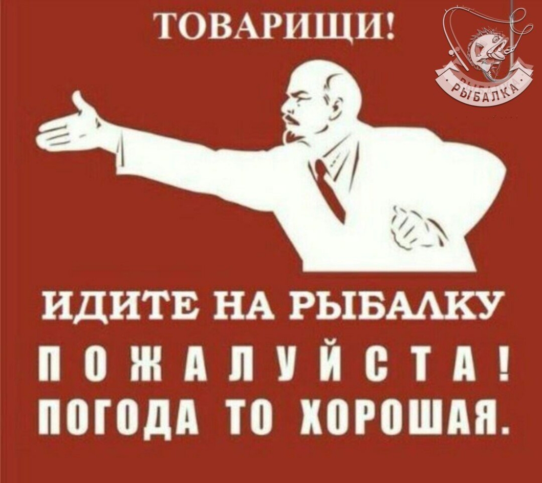ТОВАРИЩИ ИДИТЕ НА РЫБАЛКУ ПОЖАЛУЙСТА ПОГОДА ТО ХОРОШАЯ