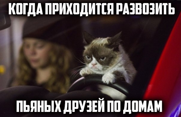 КПГДА ПРИХПДИТШ РАЗВПЗИТЬ у ПЬПНЫХ ЛРУЗЕЙ ПП д1_МАМ