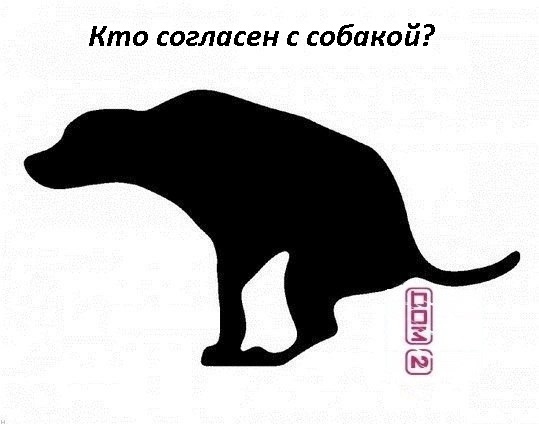 Кто согласен с собакой