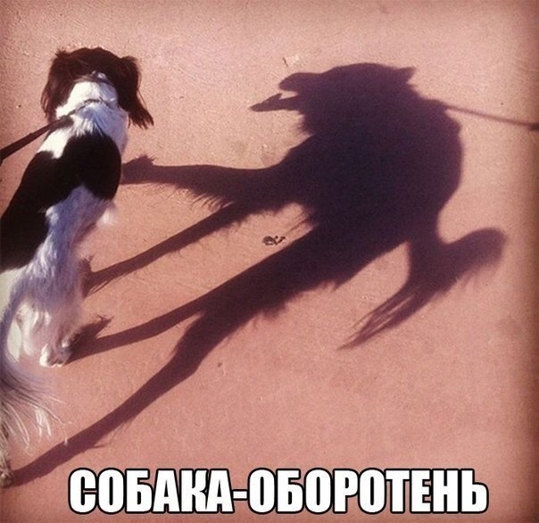 ВОБдНд ВБОРПТЕНЬ