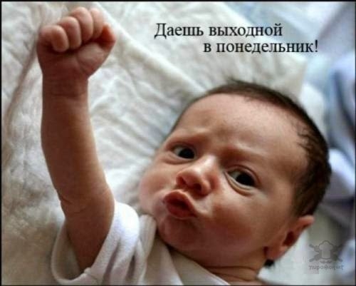Даешь выходной