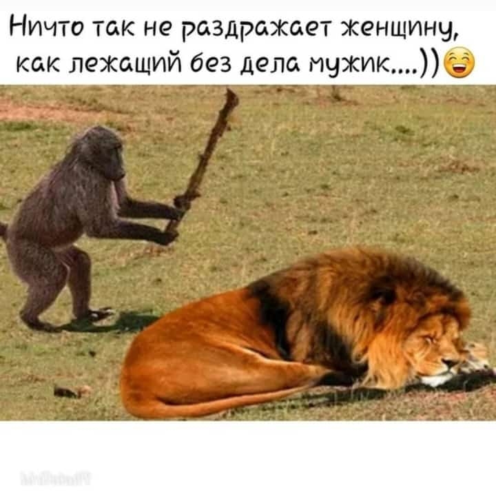 Ничто так не раздражает женщинч как лежащий без дела мужике