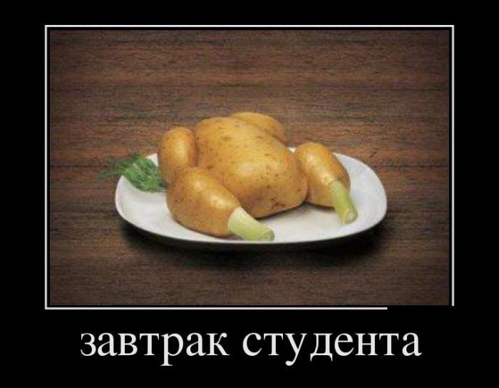 завтрак студента