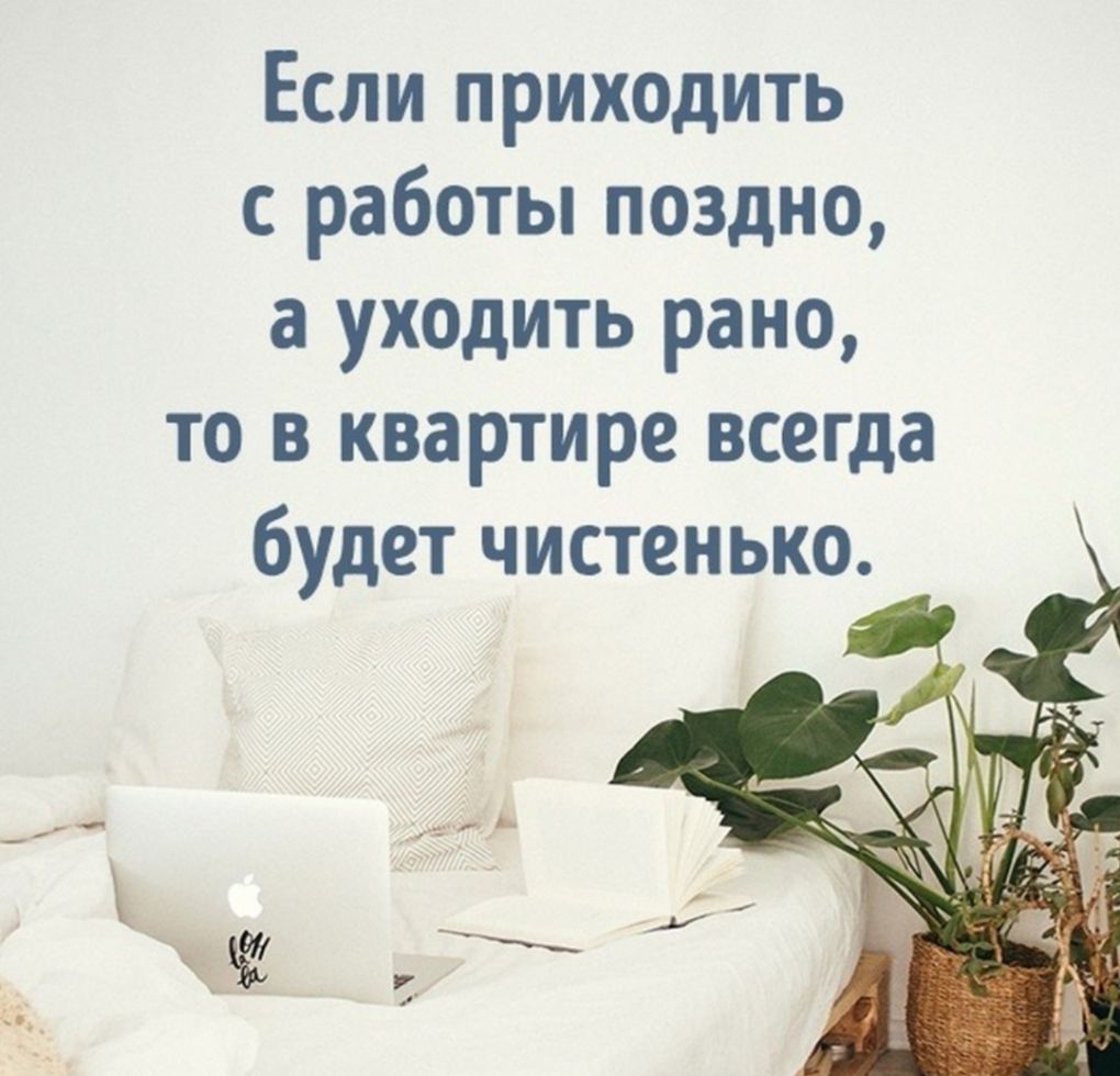 Если приходить с работы поздно а уходить рано то в квартире всегда будет  чистенько - выпуск №246883