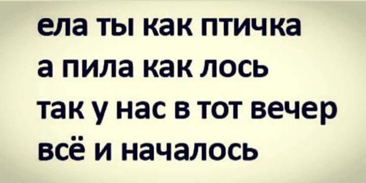 ела ты как птичка а пила как лось так у нас в тот вечер всё и началось
