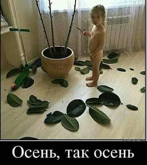 Осень так осень