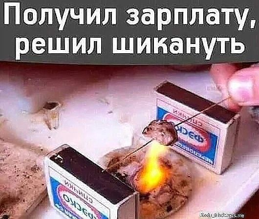 Получ ил зарплату решил шииану_ть_