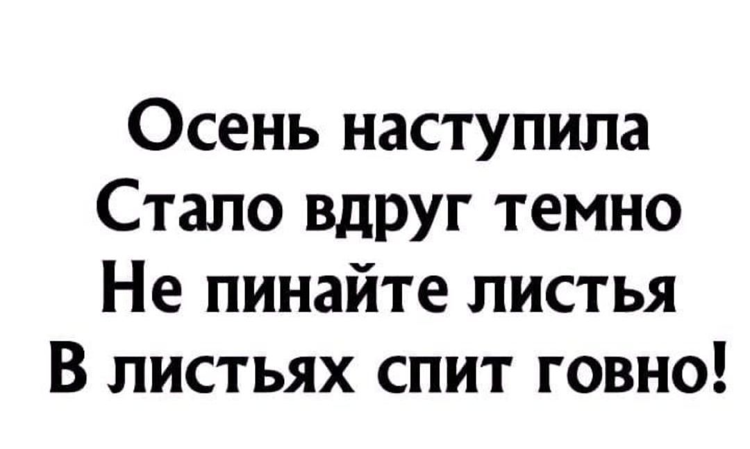 Осень наступила Стало вдруг темно Не пинайте листья В листьях спит говно