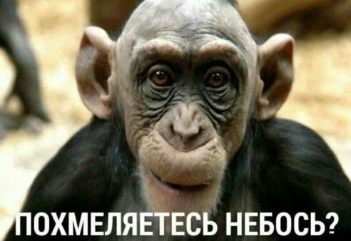 ОХМЕЛЯЪТЕСБ НЕБОСЬ