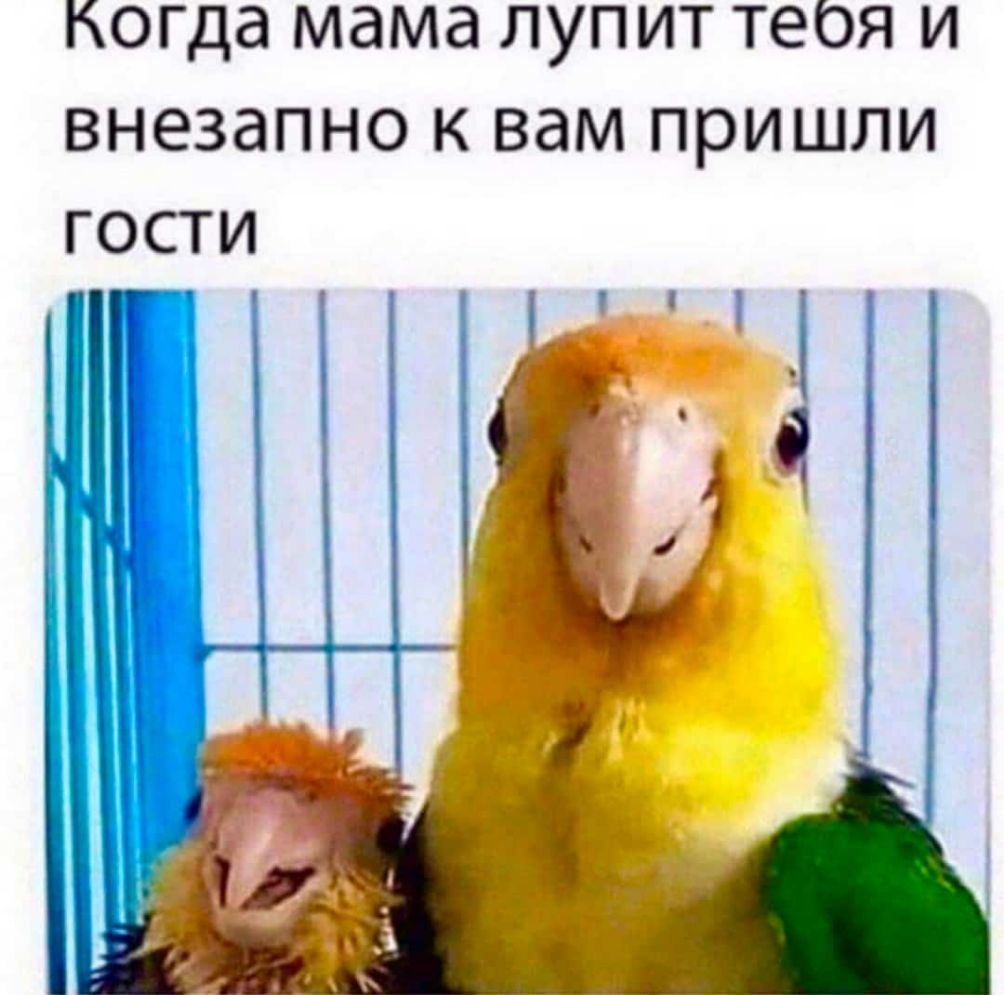 Когда МдМд ЛУП ИТ ТЕОЯ И ВНЭЗдПНО К вам ПРИШЛИ ГОСТИ