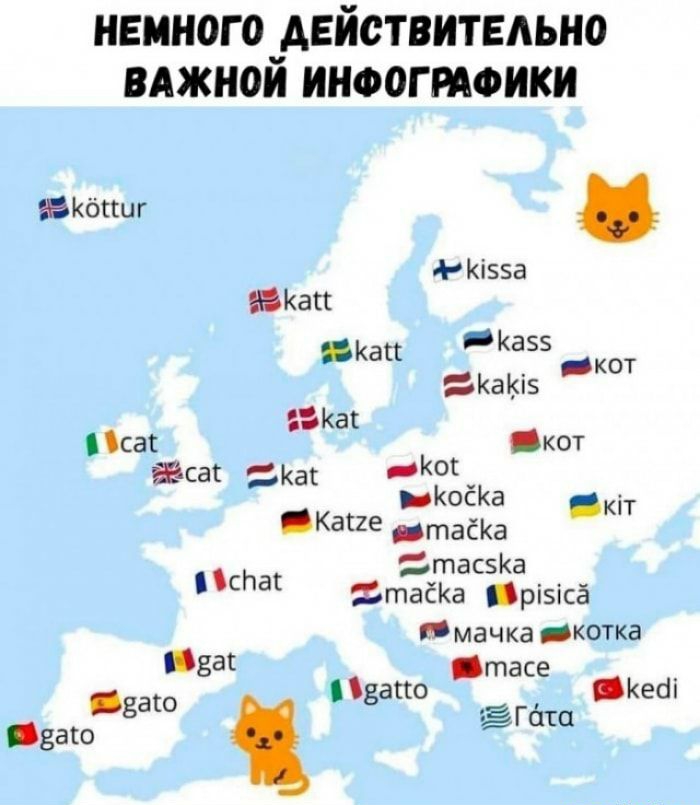 НЕМНОГО АЕЙСТВИТЕАЬНО ВАЖНО ИНФОГРАФИКИ БКбпцг АКізза юКап Как КЭББ о Каюэ _к Т Как саг кот йсаг Каг _КЕКК С а кіт Кагге таёКа таСЗКа мы ЕтаёКа різісё мачка КОТКЭ 831 тасе вдгощёаю ЕГспп
