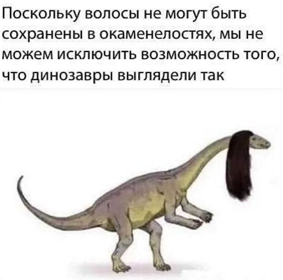 Поскольку волосы не могут быть сохранены в окаменелосгях мы не можем исключить возможносгь того что динозавры выглядели так