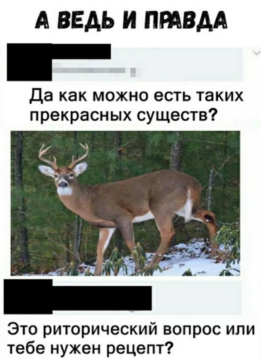 А ВЕДЬ И ПРАВДА г Да как можно есть таких прекрасных существ Это риторический вопрос или тебе нужен рецепт