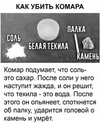 КАК УБИТЬ КОМАРА ПААКА СПАЬ БЕААЯТЕКИАА КАМЕНЬ Комар подумает что соль это сахар После соли у него наступит жажда и он решит что текила это вода После этого он опьянеет споткнется об папку ударится головой о камень и умрёт