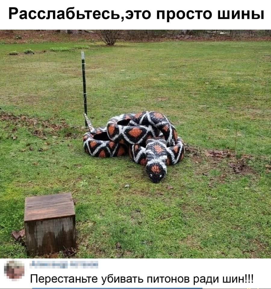 Расслаб ьтесьэто П РОСТО Ш И Н Ы Ё Перестаньте убивать питонов ради шин