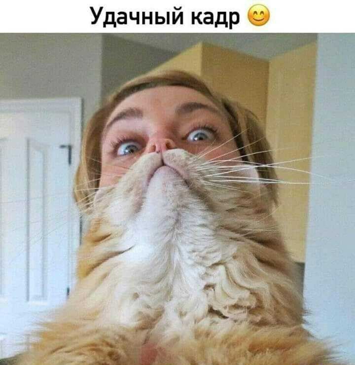 Удачный кадр