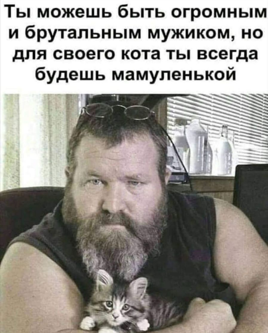 Ты можешь быть огромным и брутальным мужиком но для своего кота ты всегда будешь мамупенькой