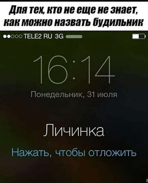ДЛЯ ТЕХ Ш 0 не еще В ЗИЯВТ КВК МШШШ 8388 ЁУДИЛЫШК 0000 ТЕЦЕ2 ГЮ 36 _ 6 Личинка Нажать чтобы отложить