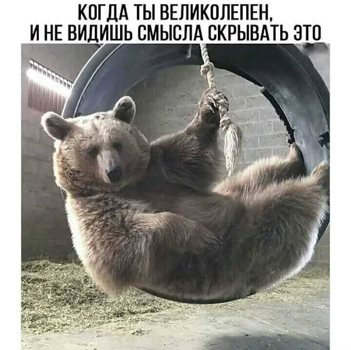 КОГДА ТЫ ВЕЛИКОЛЕПЕН _И НЕ ВИДИШЬ СМЫСЛА СКРЫВАТЬ ЭТО Ё ___